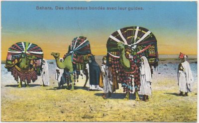 POSTAL DE MARRUECOS. SAHARA. DES CHAMEAUX BONDÉS AVEC LEUR GUIDES