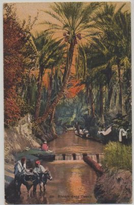 POSTAL DE MARRUECOS. RIVIERE DANS L'OSSIS