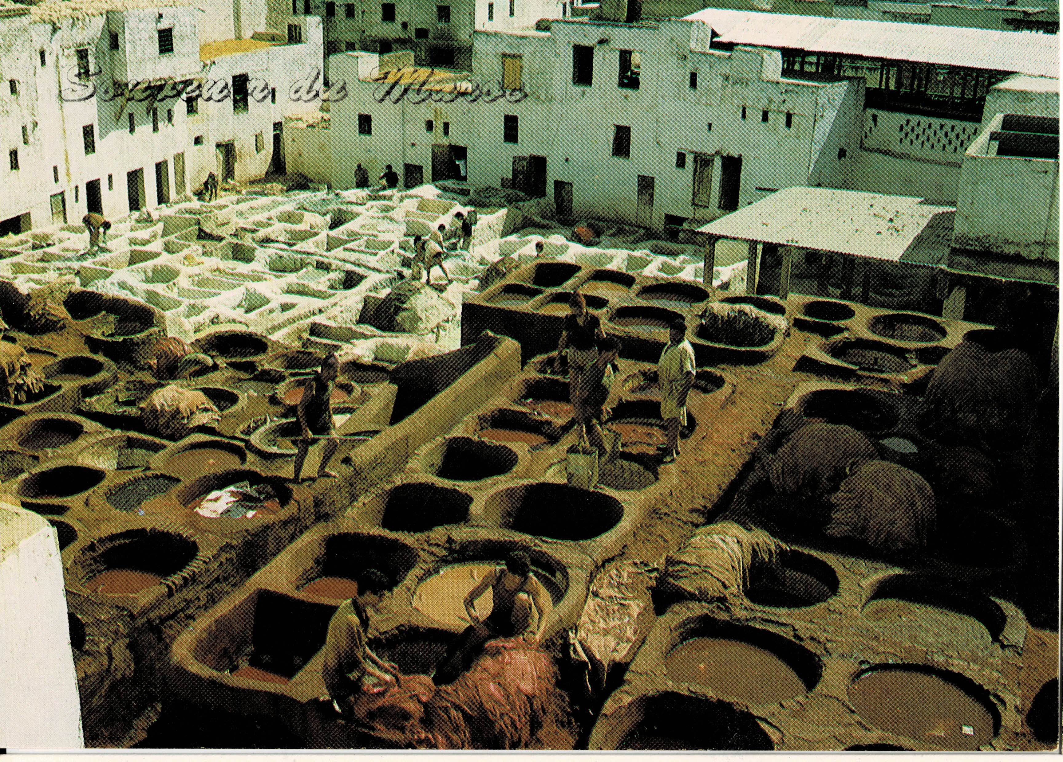 POSTAL DE MARRUECOS. FES LES TANNEURS