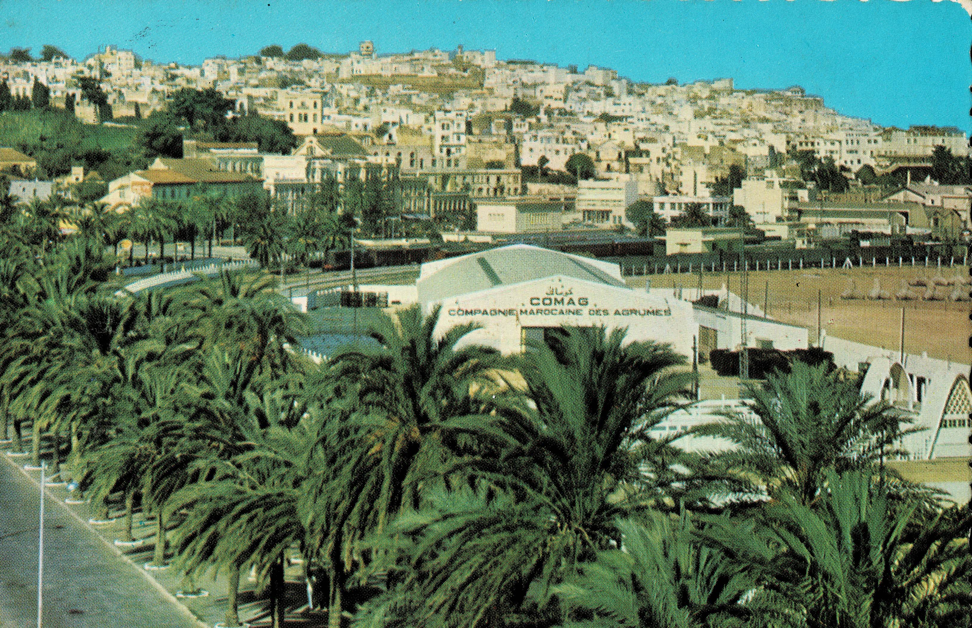 POSTAL DE MARRUECOS. TANGER AVENUE D' ESPAGNE