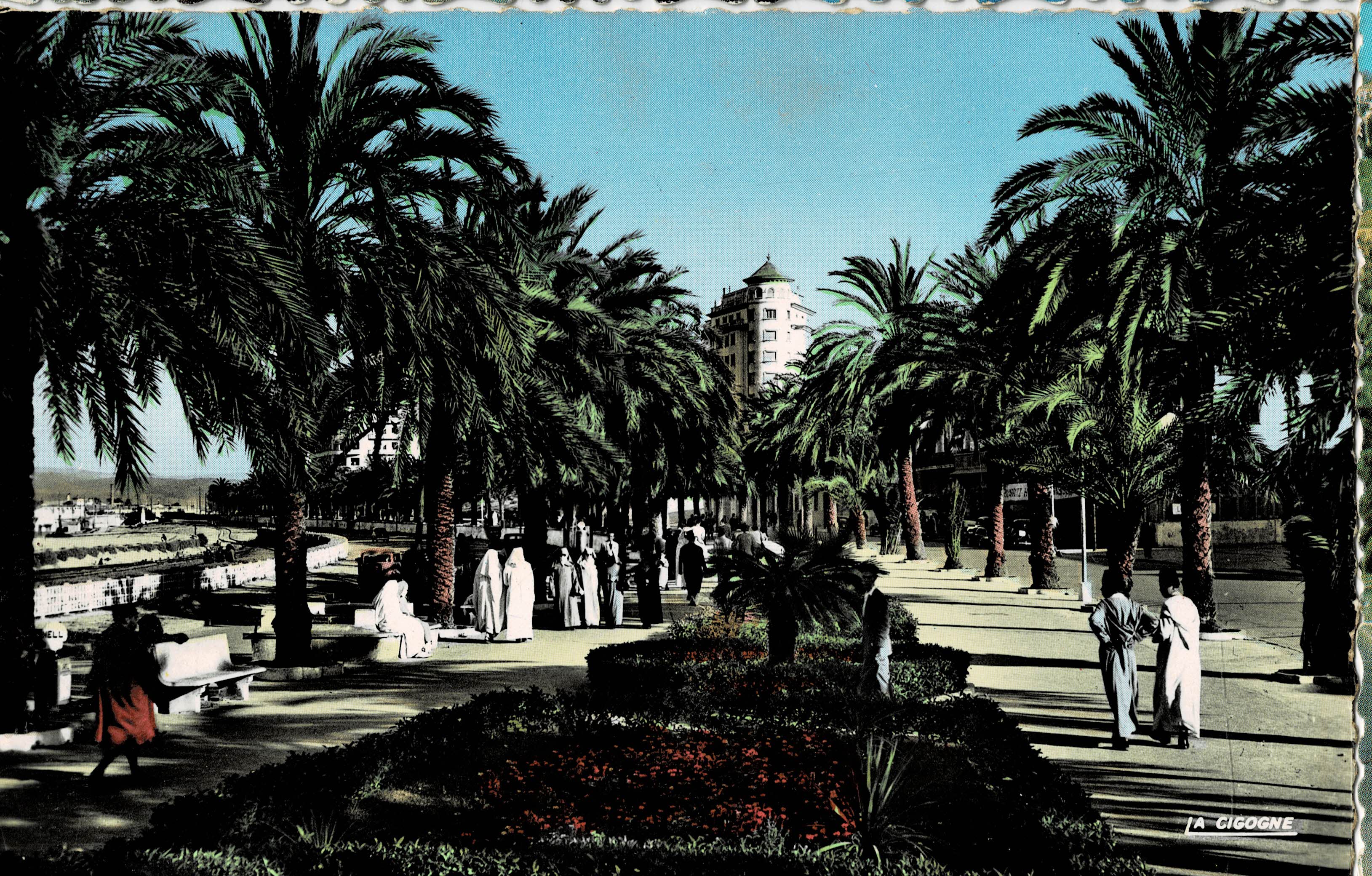 POSTAL DE MARRUECOS. TANGER AVENUE D' ESPAGNE