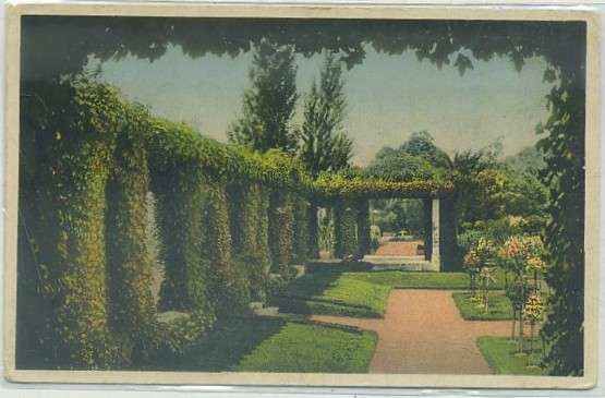 POSTAL DE ARGENTINA. BUENOS AIRES. EL ROSEDAL Nº 1