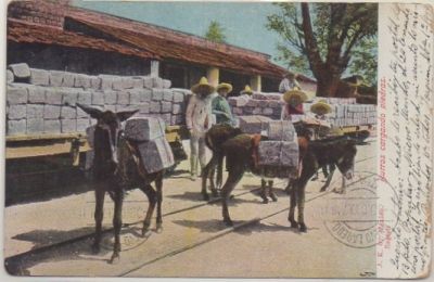 POSTAL DE MEXICO. BURROS CARGANDO PIEDRAS