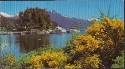 POSTAL DE ARGENTINA. BARILOCHE. PCIA. DE RIO NEGRO. VISTA DE PUERTO PAÑUELO