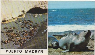 POSTAL DE ARGENTINA. PUERTO MADRYN. PROV. DE CHUBUT