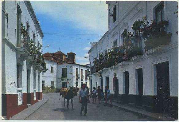 POSTAL DE ALMERIA. LAUJAR DE ANDARAX. CAPITAL DE LA ALPUJARRA   SERIE 92 Nº 20