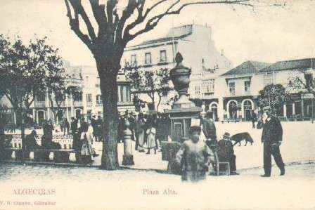 POSTAL ANTIGUA DE ALGECIRAS (CADIZ). PLAZA ALTA.