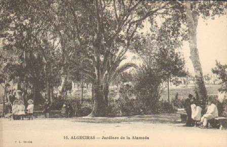 POSTAL ANTIGUA DE ALGECIRAS (CADIZ). JARDINES DE LA ALAMEDA.