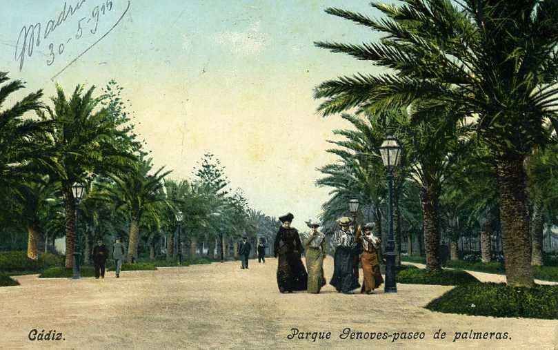 POSTAL DE CADIZ. PARQUE GENOVES - PARQUE DE PALMERAS