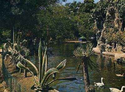POSTAL DE CADIZ Nº 70 - CASCADA DEL PARQUES GENOVES