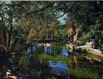 POSTAL DE CADIZ Nº 67 - PARQUE GENOVES ESTANQUE