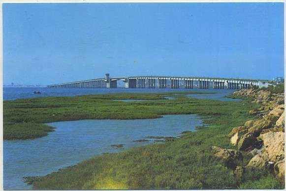 POSTAL DE CADIZ. PUENTE JOSE LEON DE CARRANZA Nº 180