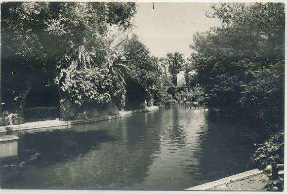 POSTAL DE CADIZ. PARQUE GENOVES. ESTANQUE