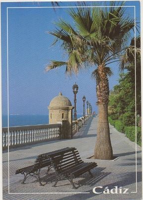 POSTAL DE CADIZ. PASEO CARLOS lll. COL. ELITE Nº 654