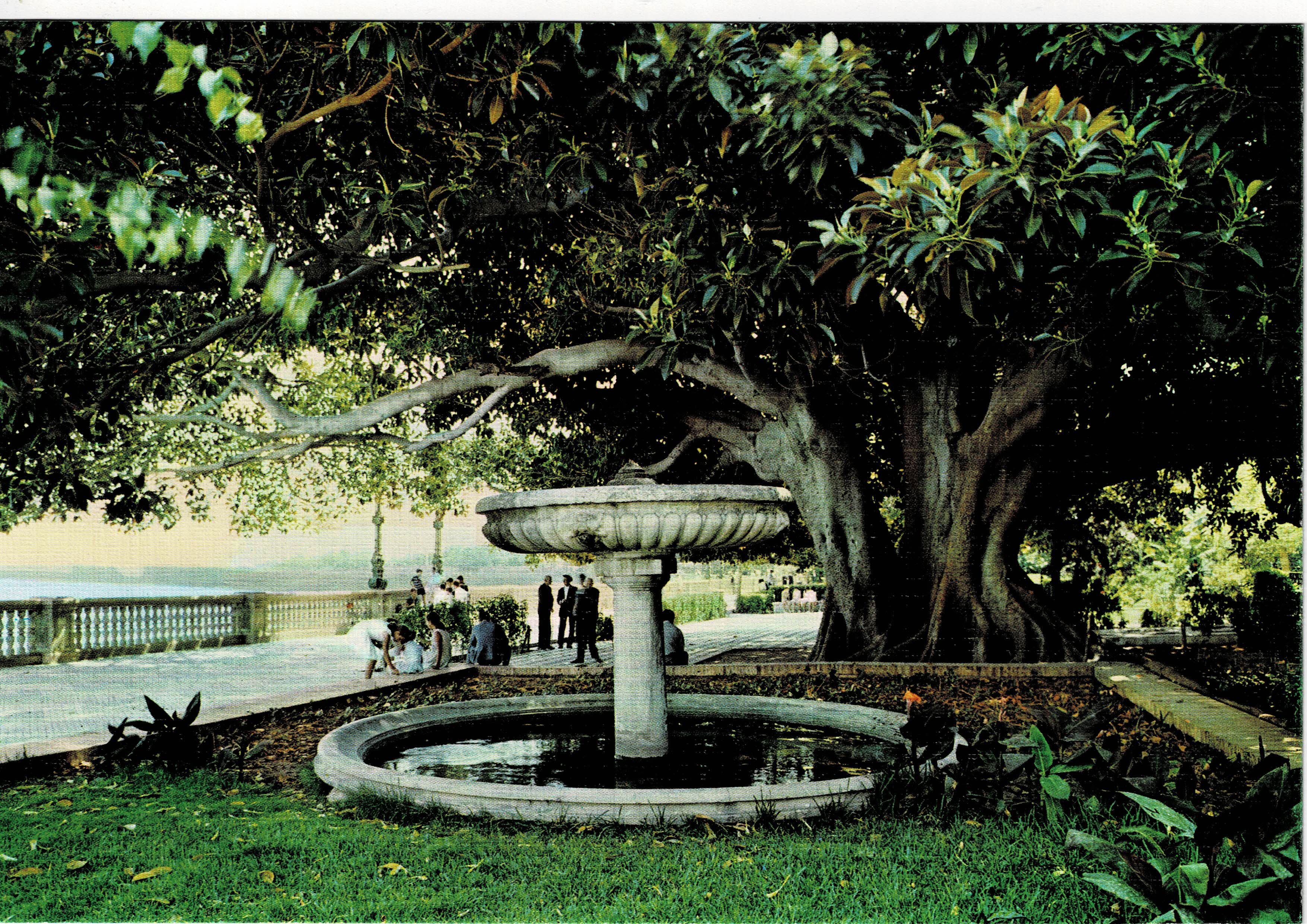 POSTAL DE CADIZ. ALAMEDA APODACA.