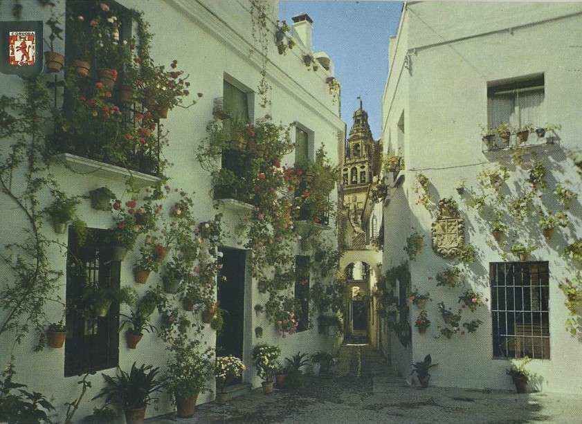 POSTAL DE CORDOBA. 717-CALLEJA Y PLAZA DE LAS FLORES
