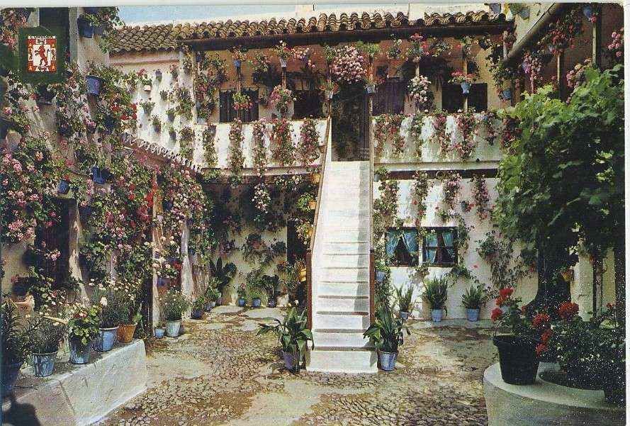 POSTAL DE  CORDOBA. 773-PATIO CORDOBES. 1º PREMIO