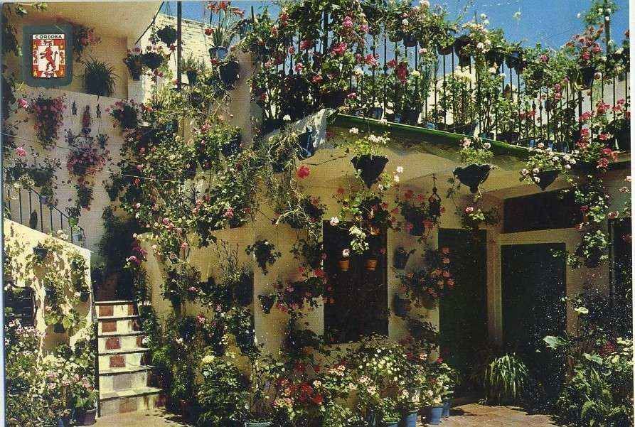 POSTAL DE  CORDOBA. 804-PATIO CORDOBES