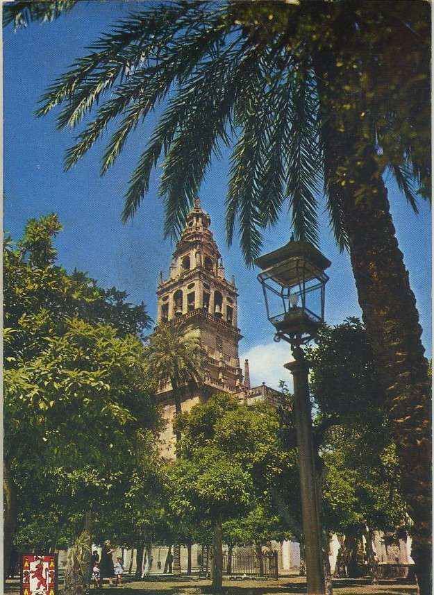POSTAL DE  CORDOBA. 711- PATIO DE LOS NARANJOS