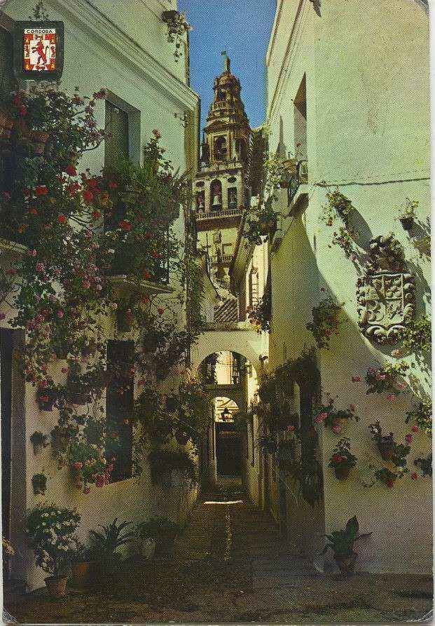 POSTAL DE  CORDOBA. 704- CALLEJA DE LAS FLORES