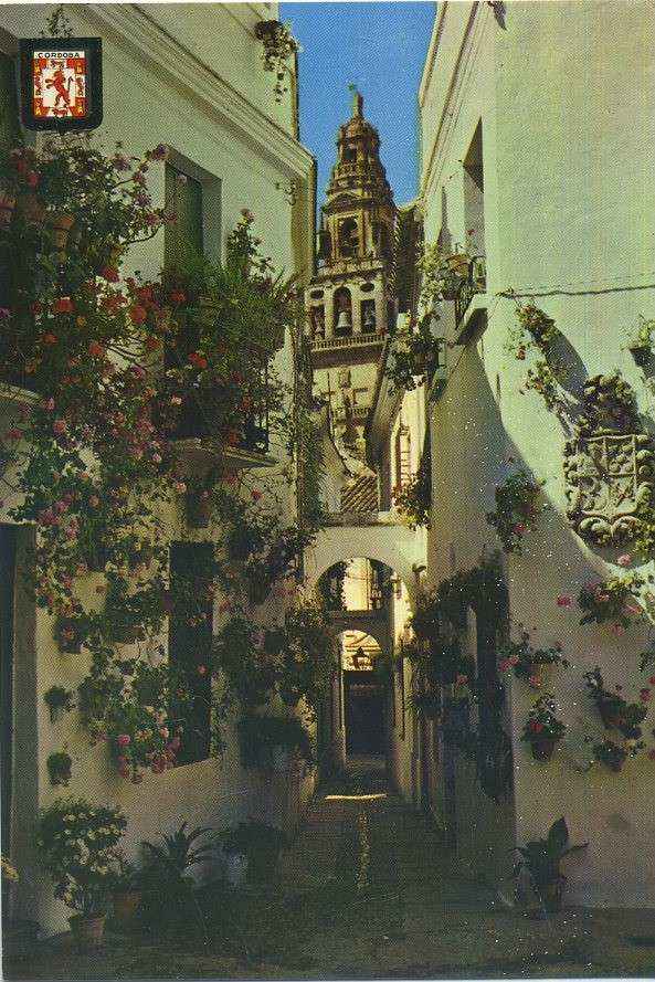 POSTAL DE  CORDOBA. 704- CALLEJA DE LAS FLORES