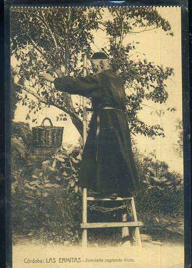 POSTAL ANTIGUA DE CORDOBA - LAS ERMITAS - ERMITAÑOS COGIENDO FRUTAS