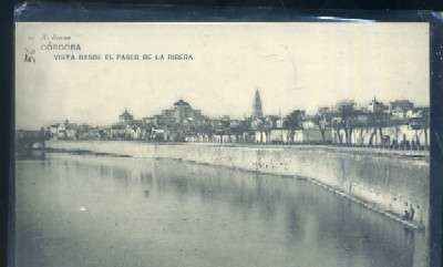 POSTAL ANTIGUA DE CORDOBA Nº 29 VISTA DESDE EL PASEO DE LA RIBERA