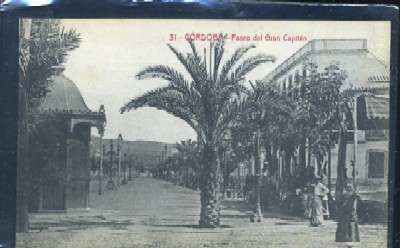 POSTAL ANTIGUA DE CORDOBA - Nº 31 PASEO DEL GRAN CAPITAN