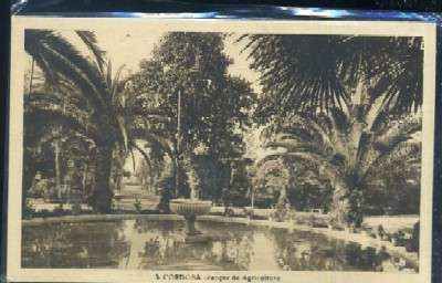 POSTAL DE CORDOBA - Nº 5 PARQUE DE AGRICULTURA