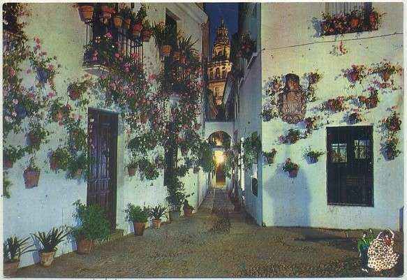 POSTAL DE CORDOBA - CORDOBA. CALLE TIPICA Nº 608