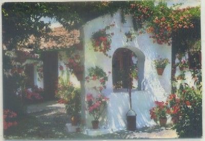 POSTAL DE CORDOBA. PATIO TIPICO Nº 8