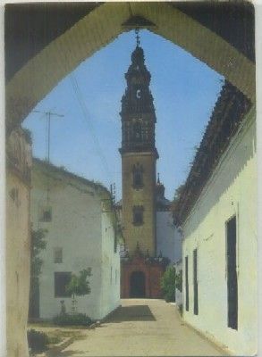 POSTAL DE CORDOBA. PALMA DEL RIO. NTRA. SRA. DE LA ASUNCION