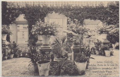 POSTAL ANTIGUA DE CORDOBA. PATIO DE LA CASA DE D. GOMEZ