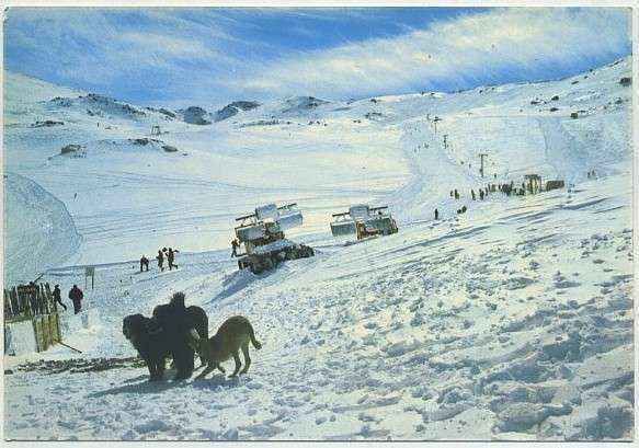 POSTAL  DE GRANADA. SIERRA NEVADA. VISTA GENERAL. BORREGUILES Nº 1206