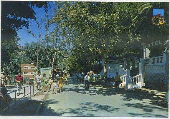 POSTAL DE GRANADA. LANJARON. CALLE PRINCIPAL SERIE 45 Nº 565