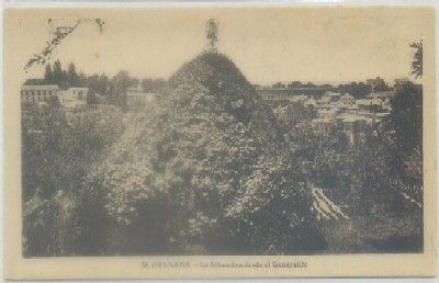 POSTAL DE ANTIGUA DE GRANADA. ALHAMBRA. JARDINES DEL GENERALIFE