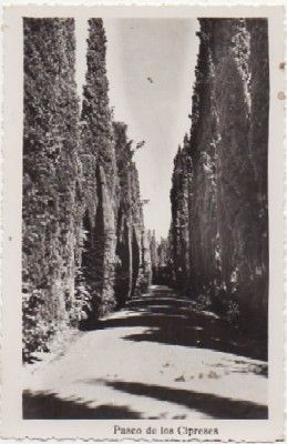 POSTAL DE GRANADA. PASEO DE LOS CIPRESES