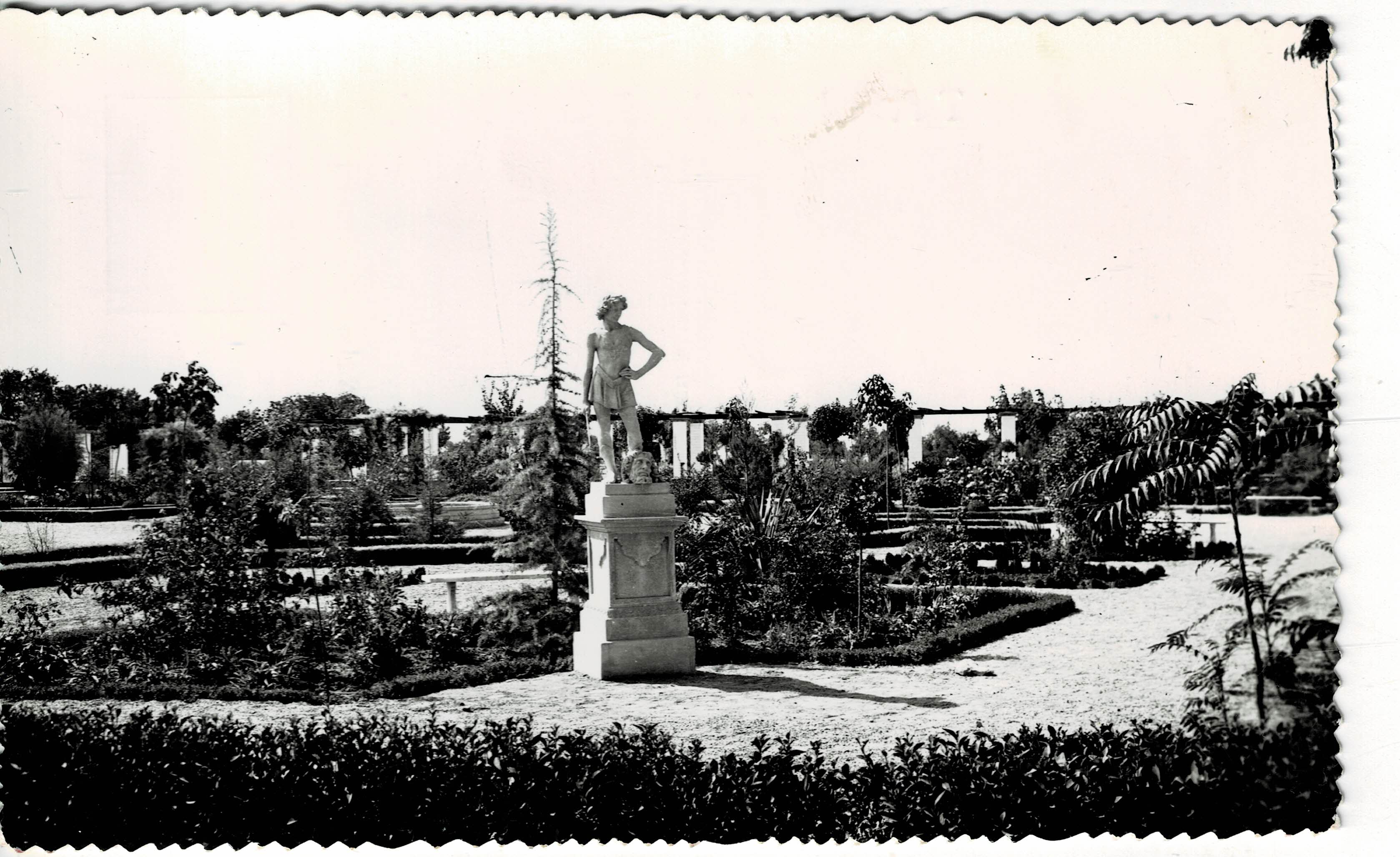 POSTAL DE GRANADA. HUESCAR. VISTA DEL PARQUE MUNICIPAL.