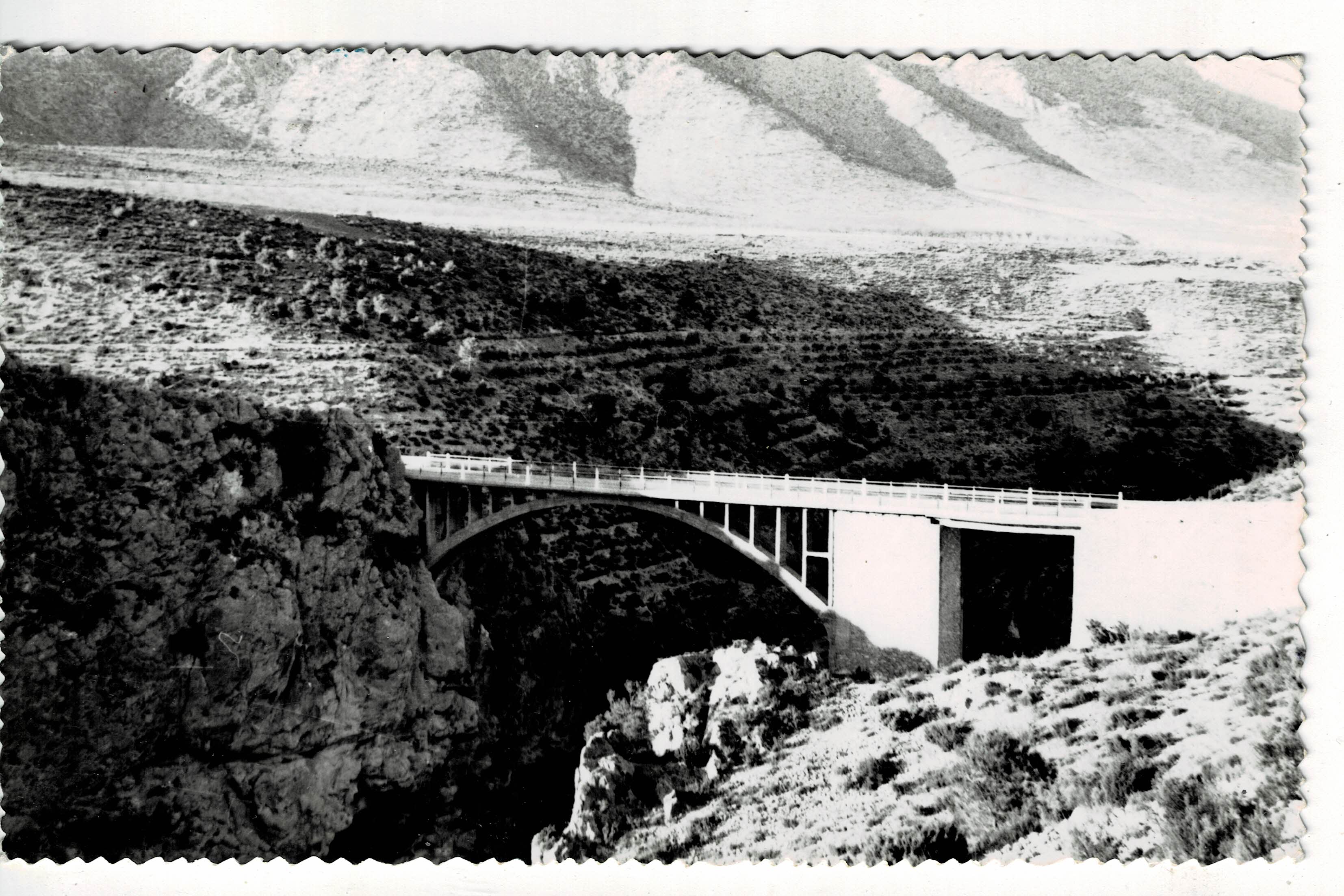 POSTAL DE GRANADA. HUESCAR. PUENTE DE DUDA.