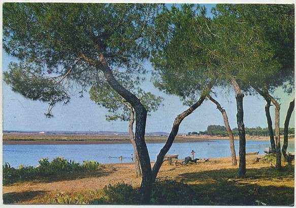 POSTAL DE HUELVA. ISLA CRISTINA. RIO CARRERAS