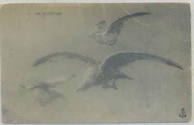 POSTAL DE ANIMALES. LES MOUETTES