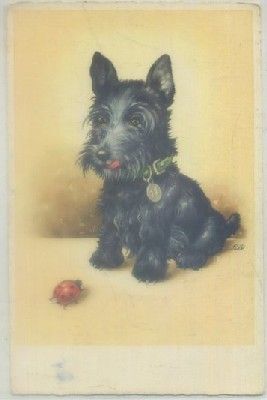 POSTAL DE ANIMALES. PERRO