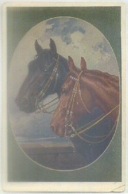 POSTAL DE ANIMALES. ESCENA DE CABALLOS