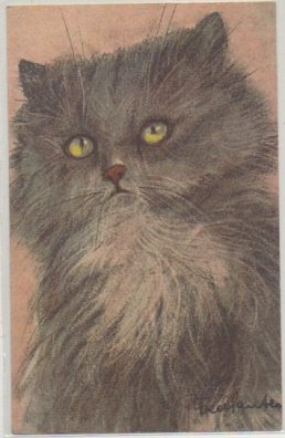 POSTAL DE ANIMALES. GATOS Nº 78