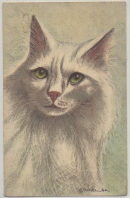 POSTAL DE ANIMALES. GATOS Nº 80