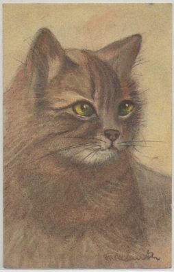POSTAL DE ANIMALES. GATOS Nº 77