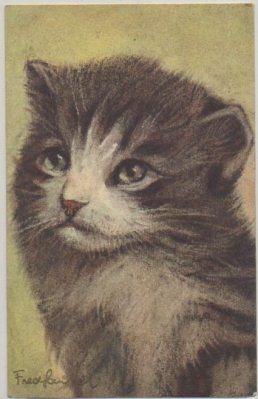POSTAL DE ANIMALES. GATOS Nº 82
