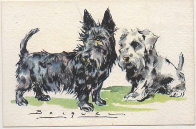 POSTAL DE ANIMALES. PERROS. SERIE B Nº 5