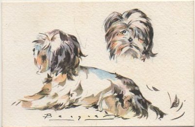 POSTAL DE ANIMALES. PERROS. SERIE B Nº 9