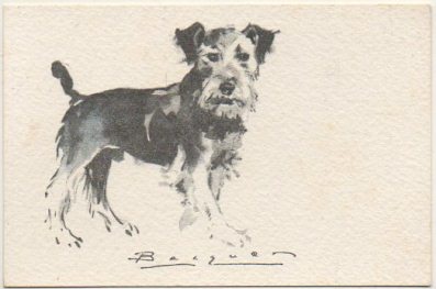 POSTAL DE ANIMALES. PERROS. SERIE B Nº 10
